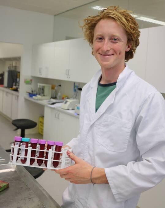 BERRY FAN: Rhodes Scholar and Agricultural Science honours student Oliver Gales is doing his part to help the industry get better berries. Picture: supplied