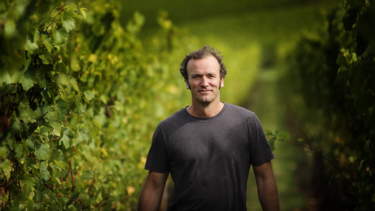 OPTIMISTIC: Peter Caldwell from Dalrymple Vineyard says the season is shaping up to be relatively high yield. Picture: supplied