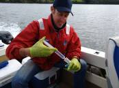 SAMPLES: Tamar and Esk Rivers Program Manager Darren McPhee on the Tamar collecting samples for analysis. Pictures: supplied