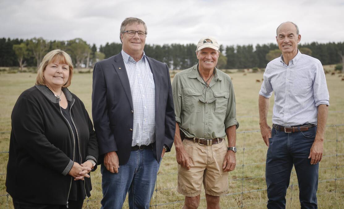 GAME-CHANGER: NRM North chief executive Rosanna Coombes, Weed Action Fund chairman Ian Sauer, landowner Bruce Archer and Primary Industries Minister Guy Barnett at the launch of the large grants. Picture: Craig George