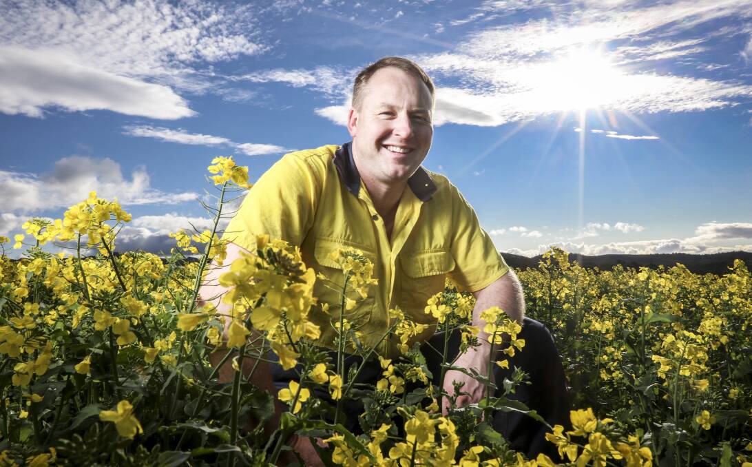 RECORD: Sisters Creek canola grower Michael Nichols may have broken a record for this year's canola crop, stripping 52.52 tonnes off 8.5 hectares for an average yield of 6.17 tonnes per hectare. Picture: Brodie Weeding 
