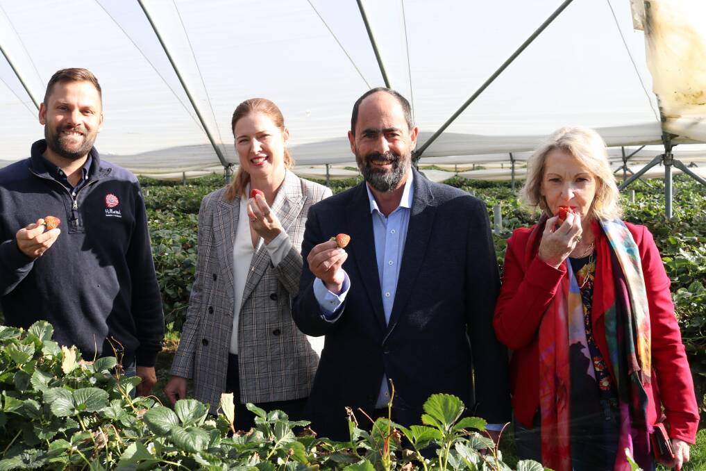 WATER SECURITY: Simon Dornauf (Hillwood Berries), Julie Collins, Ross Hart, Helen Polley announcing Labor will invest $100 million for tranche three of the irrigation schemes in Tasmania. Picture: supplied