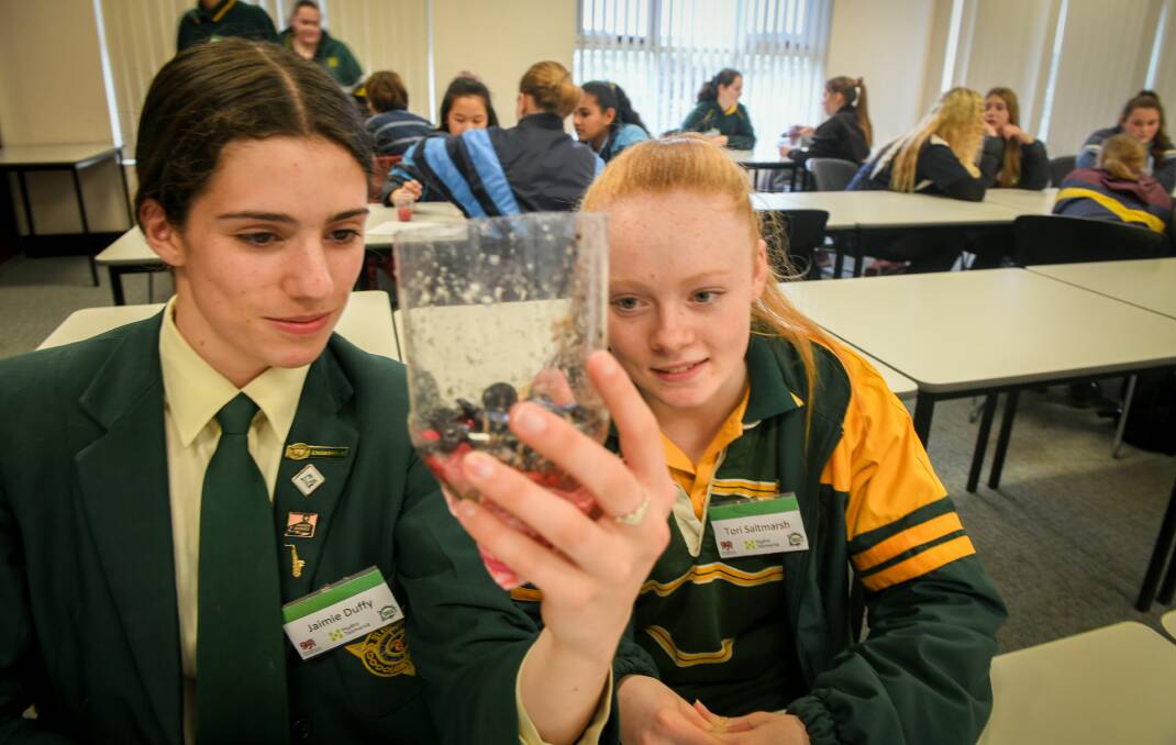 MYTHBUSTING: St Patricks College grade 9 students Jamie Duffy and Tori Saltmarsh at the Powering Up Engineering event at AMC. Picture: Paul Scambler