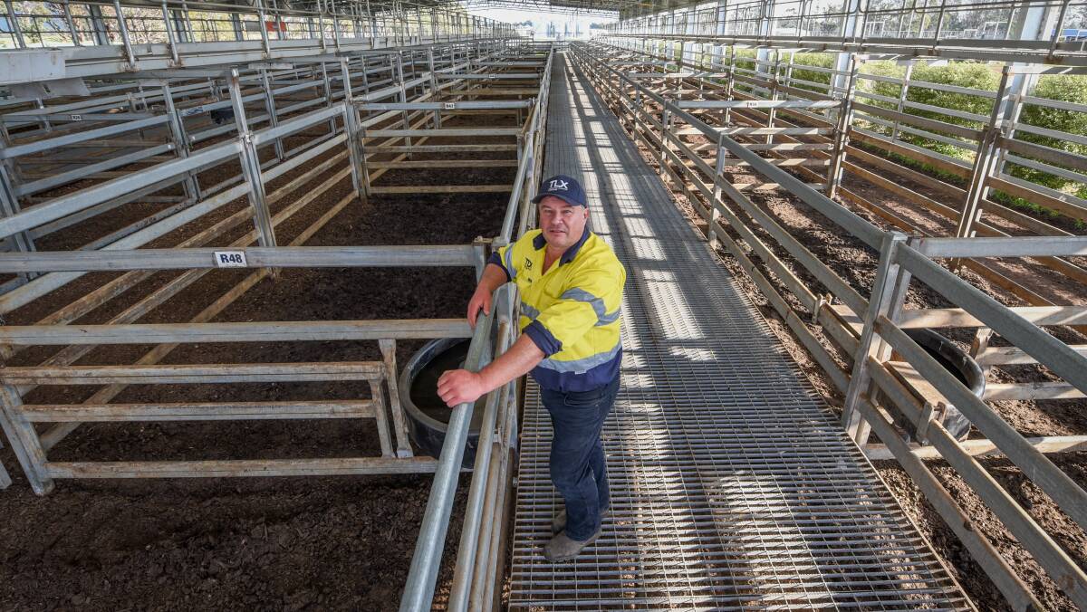 CALM BEFORE STORM: Tasmanian Livestock Exchange manager Andrew Palmer at Powranna, which held its first sale under the new structure this week. Picture: Paul Scambler