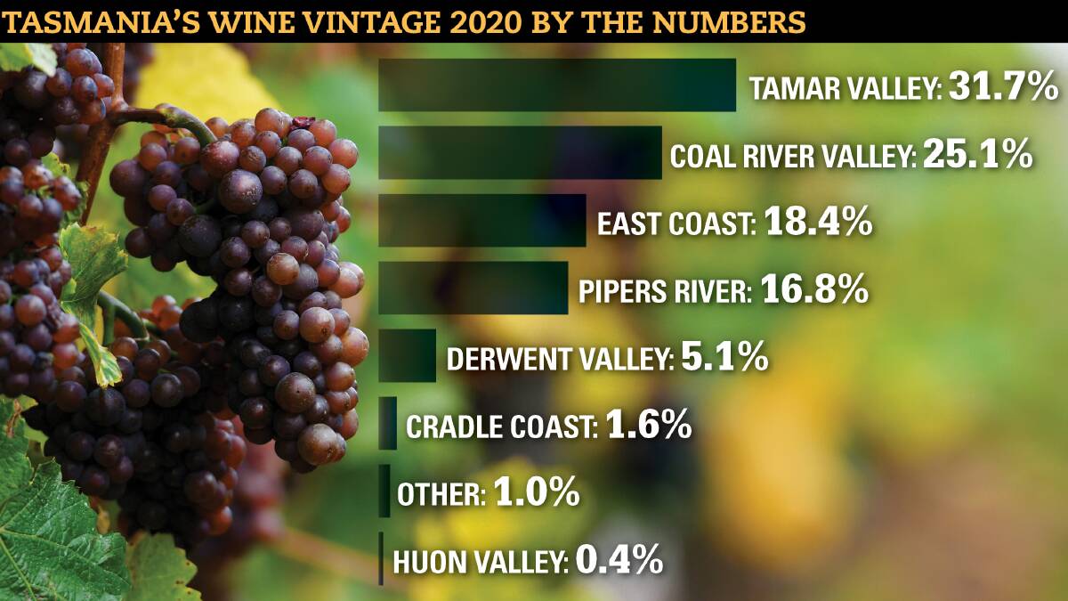 Tamar Valley grapes are the pick of the bunch