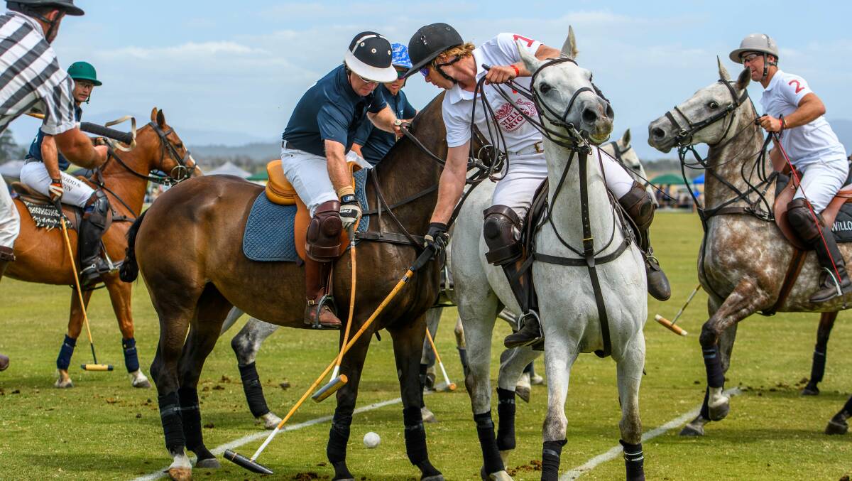 ACTION: Polo is a horseback-mounted team sport. It is one of the world's oldest known team sports and is known as the "sport of kings".
