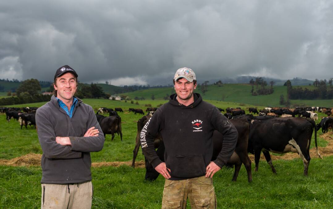 INDUSTRY STRONG: Moltema dairy farmers Mark and Dan Griffin have been relatively unaffected by the coronavirus pandemic. Picture: Phillip Biggs