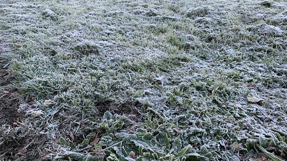 Launceston shivers through morning frost