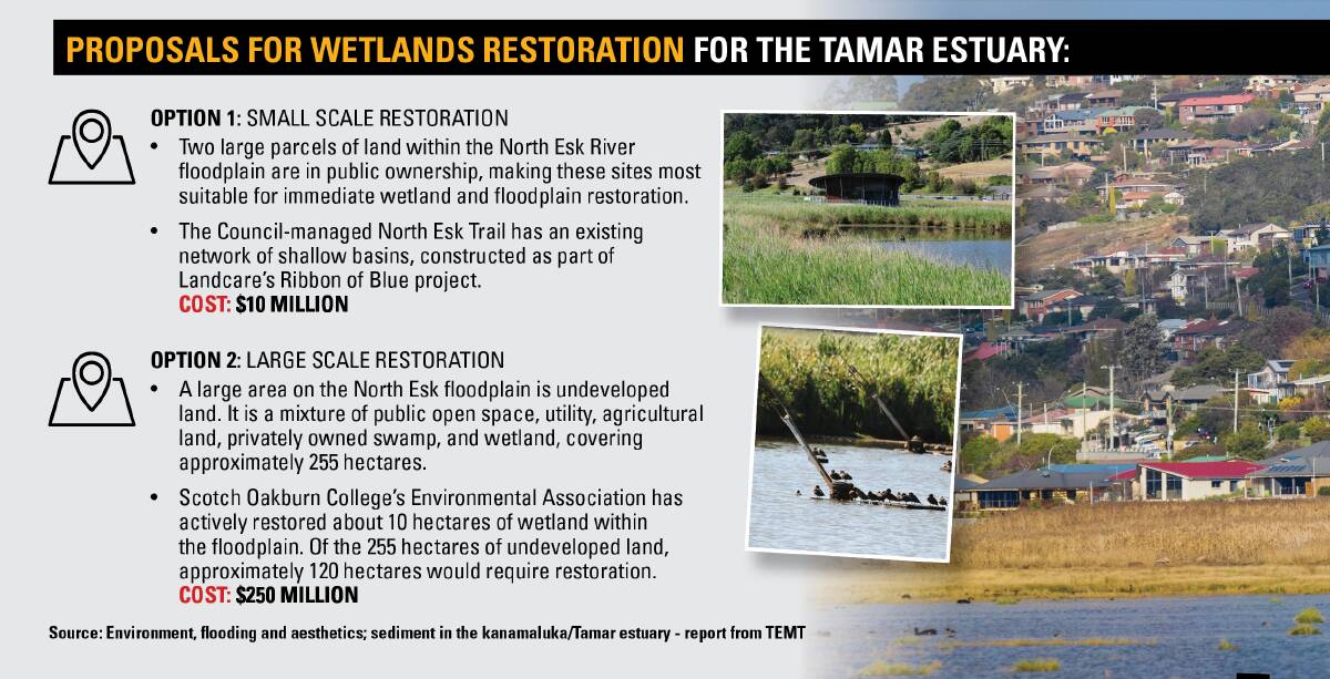Will wetlands reduce mud in the Tamar?