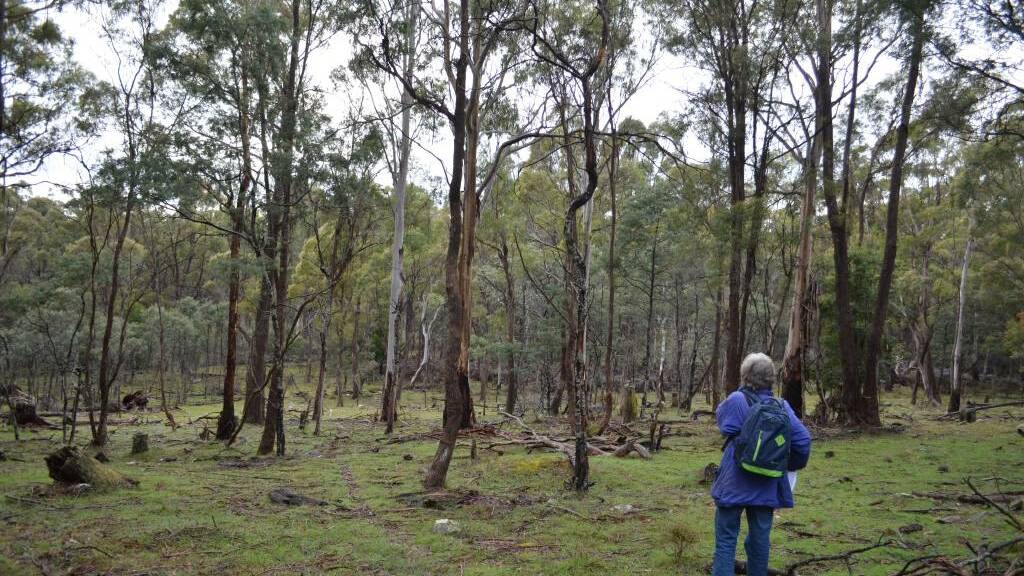 Shovel-ready? Prison site is crucial natural reserve
