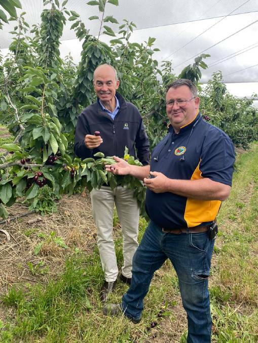 Primary Industries Minister Guy Barnett and Cherries Tasmania Nick Hansen at the launch of a pilot transport program for seasonal workers last month.