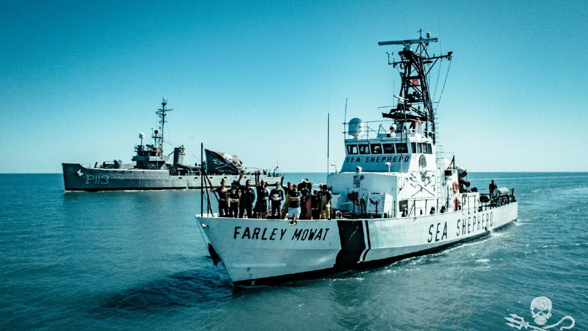 Sea Shepherd crew aboard the 'Farley Mowart.' The Farley Mowart vessel is currently in the Gulf of California, retrieving illegal gill nets that have led to the near-extinction of the Vaquita. 