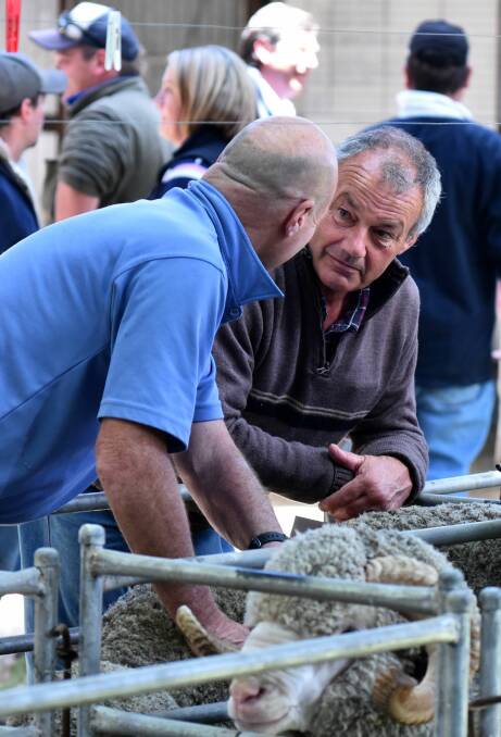 The first merino ram sale in Tasmania for 20 years was held at Campbell Town.