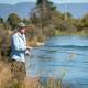 WATER CONCERNS: Gary France from Tasmanian Anglers Alliance says he has watched the degradation of Tasmania's rivers over many years, and operates tourist tours on Northern Tasmanian waterways. Picture: Paul Scambler