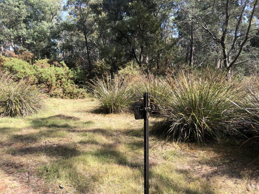 TECHNOLOGY: One of the cameras used by the WildTracker project to track native wildlife on rural properties. The cameras are used to track populations of bandicoots and other wildlife. Pictures: supplied