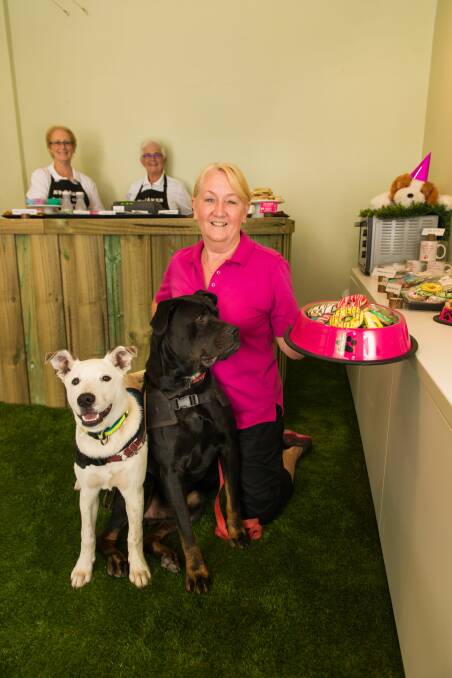 PUP-TASTIC: K9 Cakes owner Sue Barker with RSPCA Tasmania dogs Chips, 4 months, and Ziggy, 12 months. In the background are Linda Callister and Helen Renshaw. Picture: Phillip Biggs