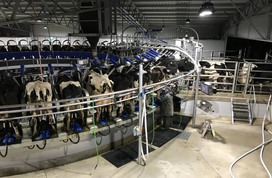 Udderly innovative: Dornauf Dairies has installed the latest technology in rotary milking – the DeLaval Rotary E100 and a Teat Spray Robot, with both on display at an open day at Moltema on Wednesday.