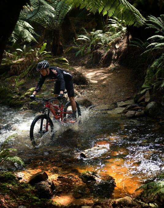 Buoyant times for Tassie’s tourism industry