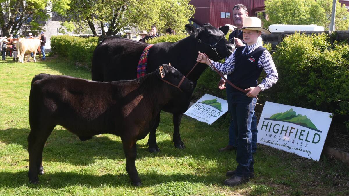 CHAMPION: Darryl and Tom Heazlewood with their winning female angus and her calf. Picture: Neil Richardson 