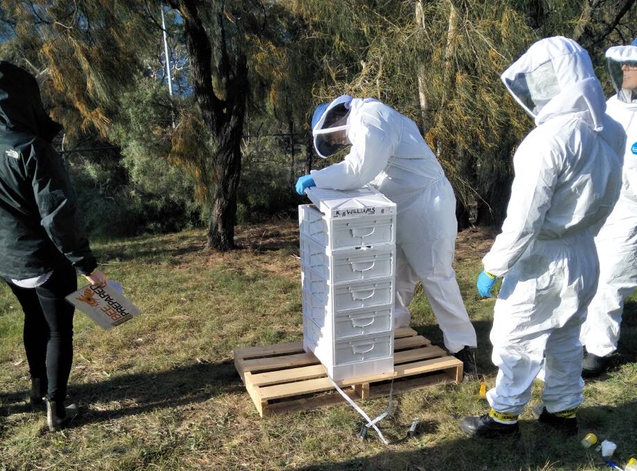 BEE PREPARED: Tasmanian workshop participants test for a potential varroa mite incursion during the exercise. Picture: Biosecurity Tasmania