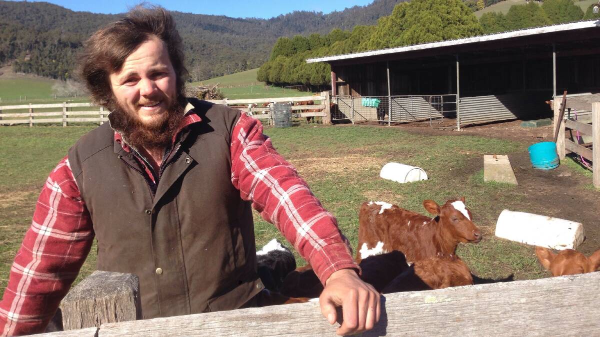 RISING STAR: Beef and lamb farmer Darcy Nicklason, from Pyengana Premium Meats, is the Tasmanian finalist in the 2017 NAB Agribusiness Rising Beef Industry Champion competition. Picture: Supplied