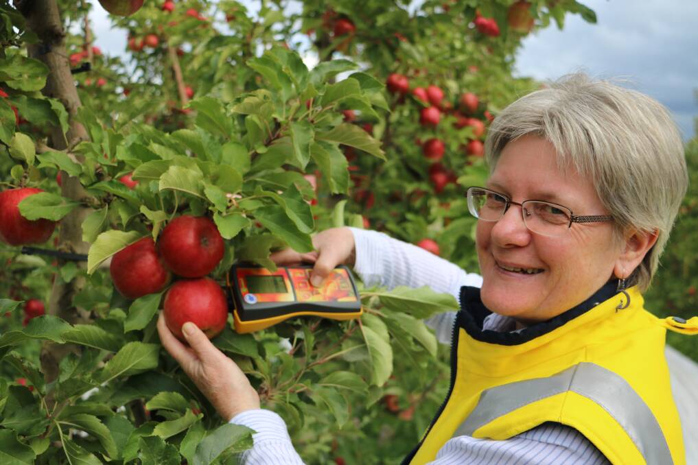 INDUSTRY EXCELLENCE: Dr Sally Bound was rewarded for her work within the fruit industry. Picture: Supplied