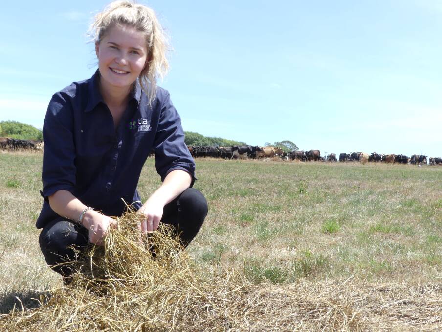 FODDER SOLUTIONS: Tasmanian Institute of Agriculture Dairy Extension officer Sam Flight. Picture: Supplied