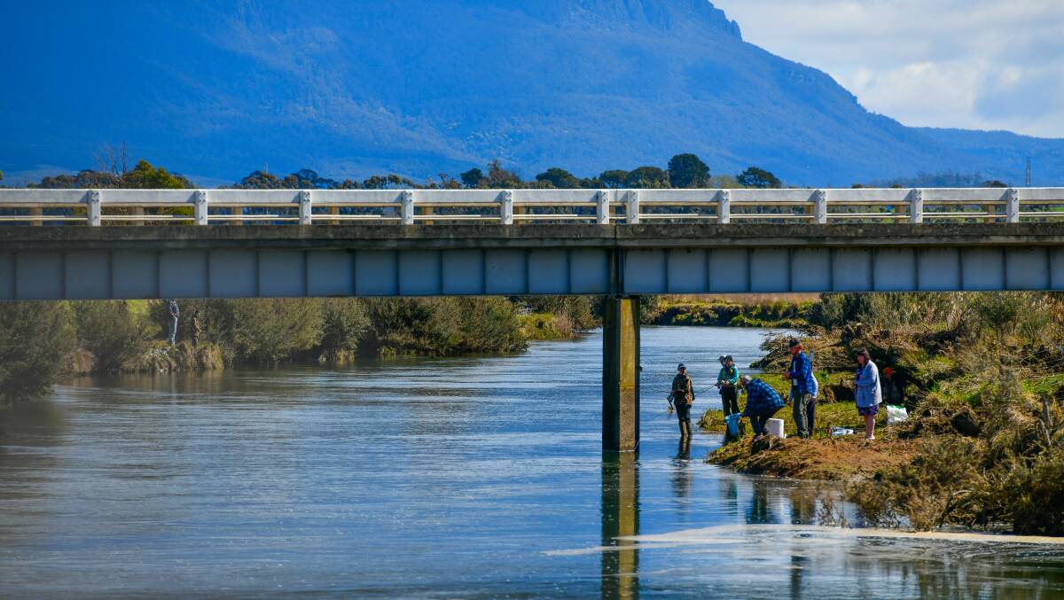 WORLD-CLASS: Fishing under the bridge at Brumbys Creek during the Trout Expo at Cressy. Picture: Scott Gelston
