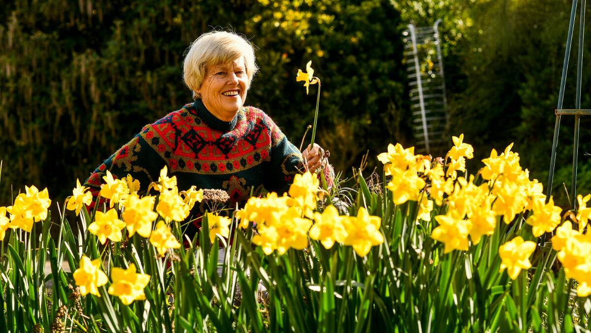 IN BLOOM: Norma Purton gets ready for the spring Launceston Horticultural Society flower show. Picture: Scott Gelston