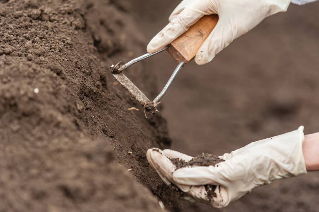 ESSENTIAL ELEMENT: Tasmanian Institute of Agriculture soil scientist Bill Cotching believes "soil is part of our souls". Picture: Shutterstock
