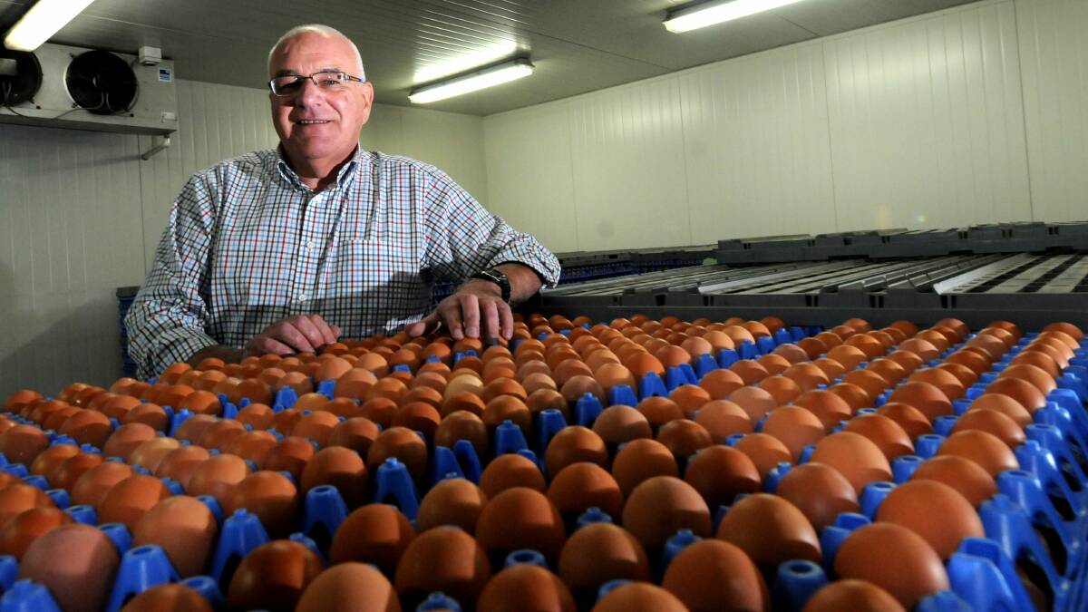 SAFE TASMANIAN EGGS: Pure Foods Eggs managing director Danny Jones at the Longford farm.