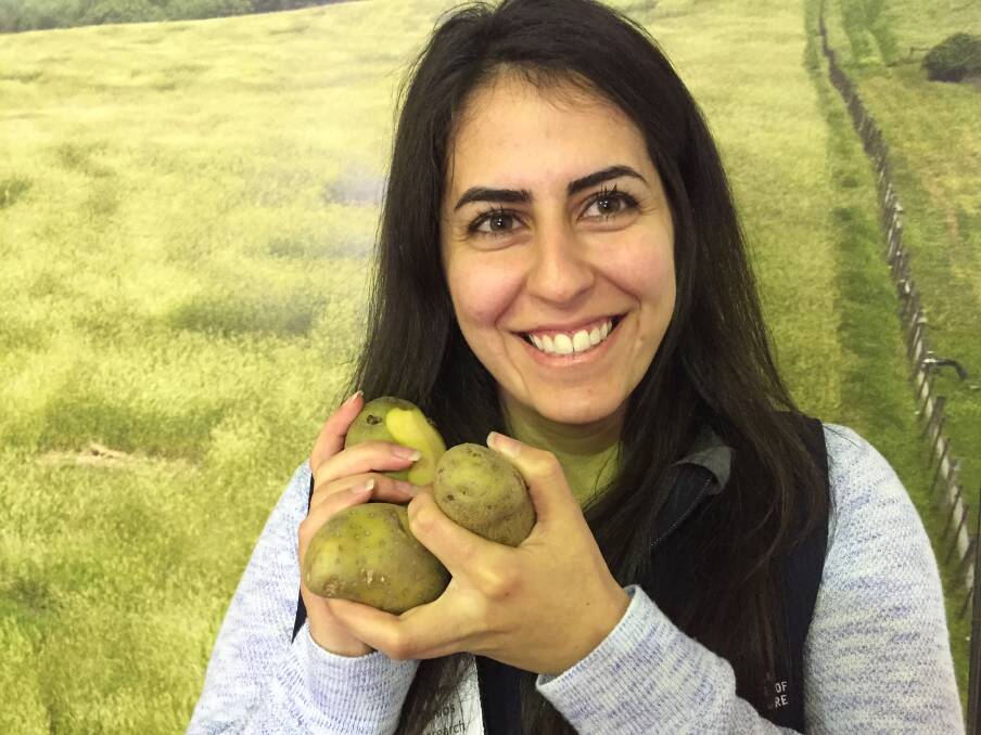 AVOIDING GREEN: Sabine Tanios is researching potato greening at Tasmanian Institute of Agriculture as a PhD candidate. Picture: Johanna Baker-Dowdell