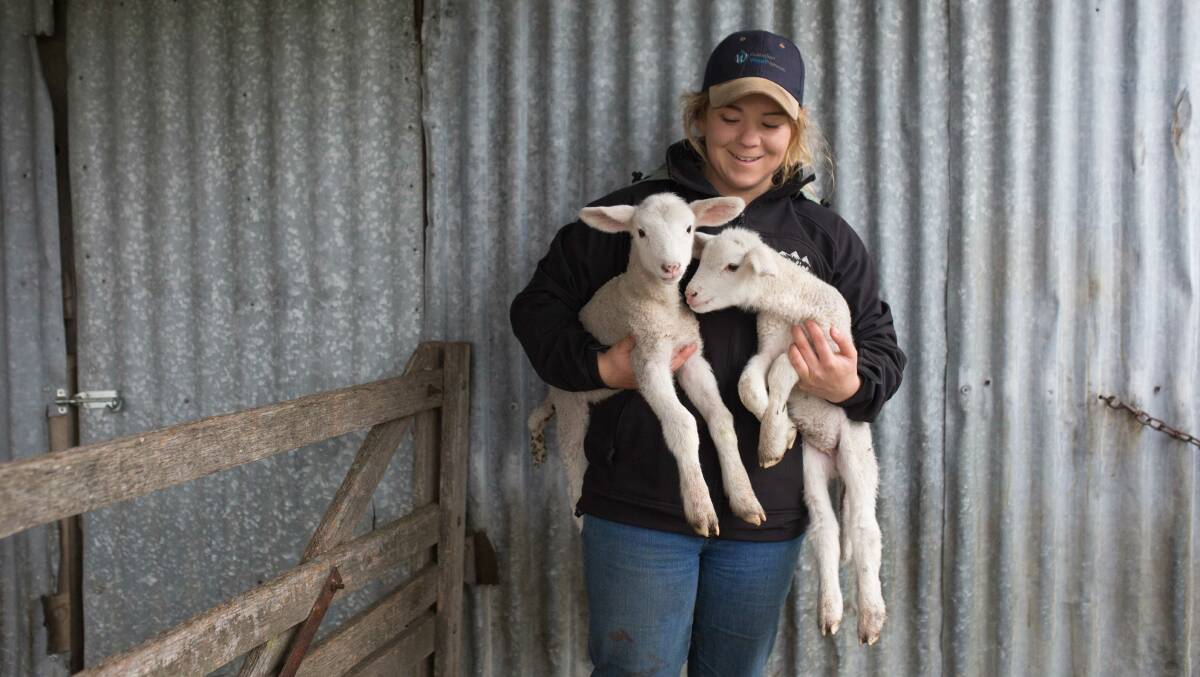 FARMING FUTURE: Molly Cornish from Pawtella holding new lambs. Picture: Chantel McAlister.