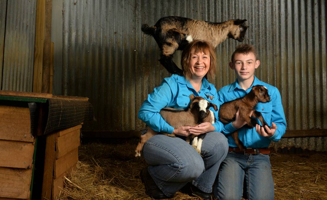 CLASS OF THEIR OWN: Maree Donaldson and Bailey Seaman will be showing their miniature goats at the Burnie Show. Picture: Brodie Weeding