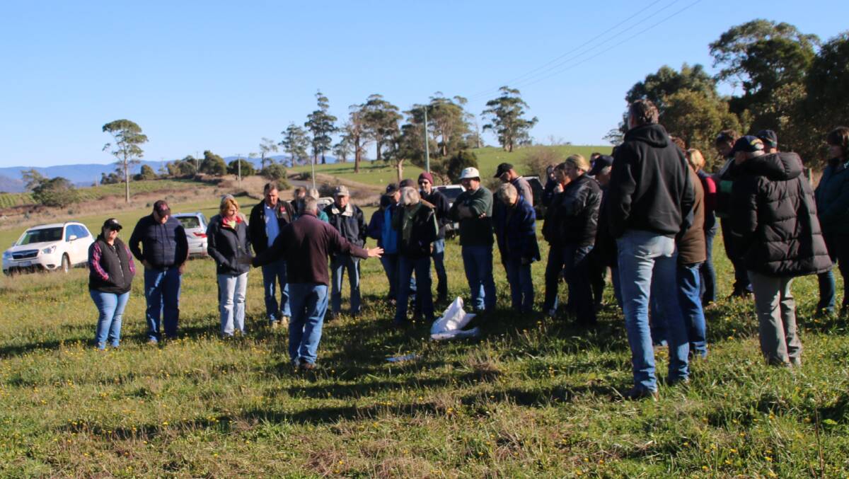 BUILDING PASTURE PROFITABILITY: Hillwood property Greenhythe is one trial location for the Tamar NRM pasture demonstration project, which is funded by MLA. Picture: Supplied