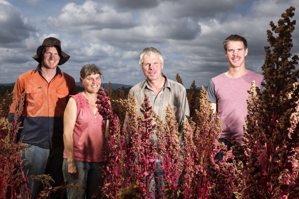 FARMING FAMILIES: The Damen family - Peter, Henriette, Lauran and John - run Kindred Organics farm in North-West Tasmania. Picture: Cordell Richardson