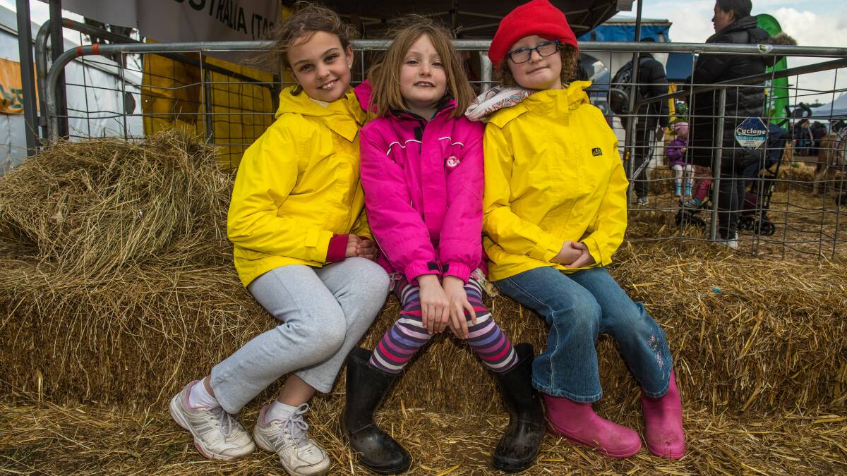 FRIENDS' DAY OUT: Matilda Smith, 10, with her sisters, twins Kimberley and Danielle Smith, 8, spend the day at Agfest, Carrick. Picture: Scott Gelston