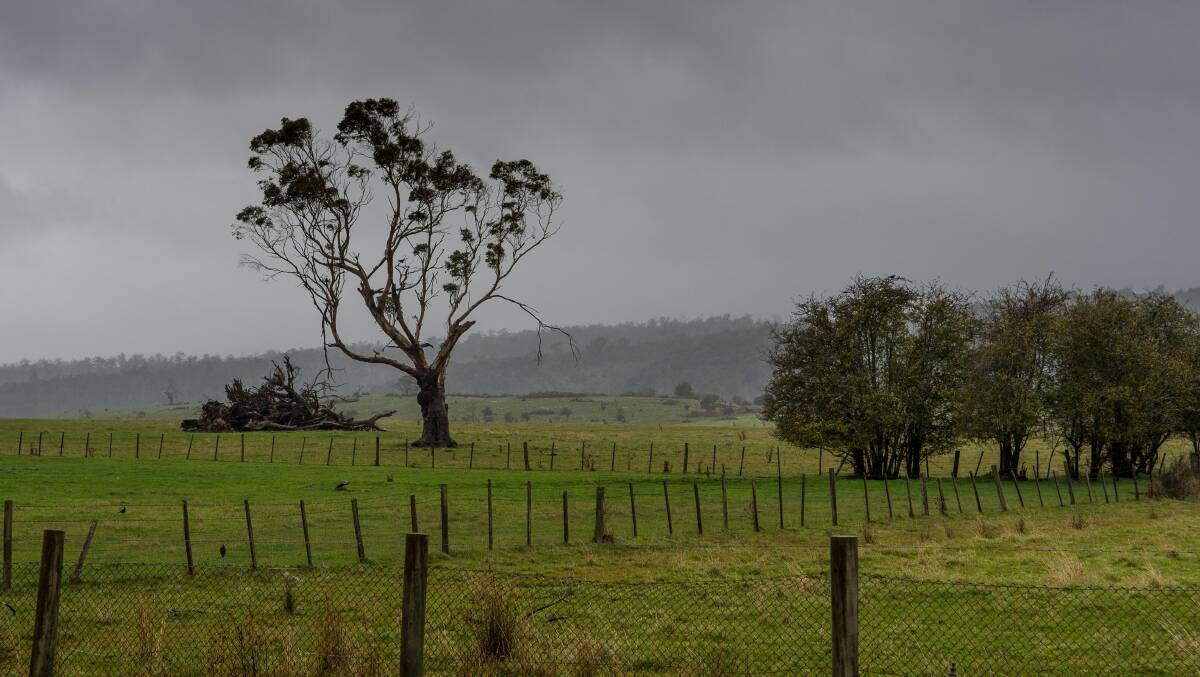 NEEDS INVESTMENT: Tasmanian Farmland. Picture: Scott Gelston