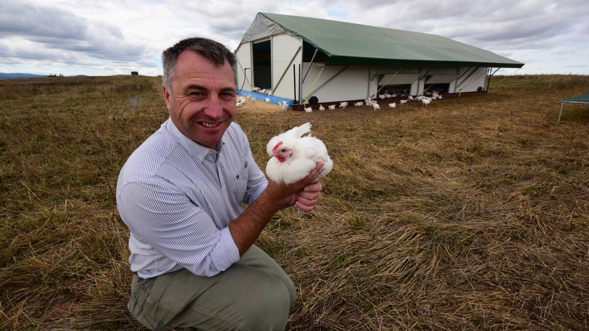 Rob Nichols at Nichols Poultry’s Sassafras farm, where the chicken for Taste of Tasmania stallholders is produced. Picture: Paul Scambler