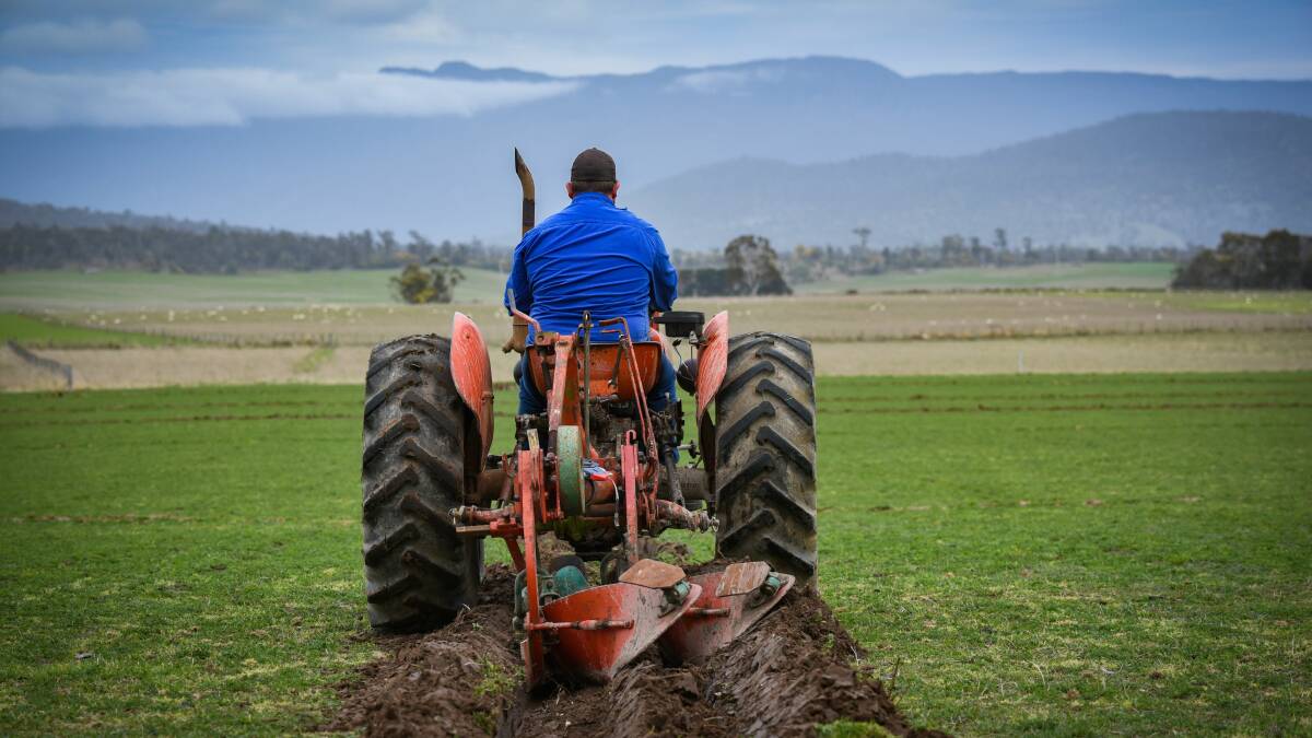 CHAMPION: Rob Bayles of Chanak, near Cressy, won the Tasmanian Ploughing Championship. Picture: Paul Scambler