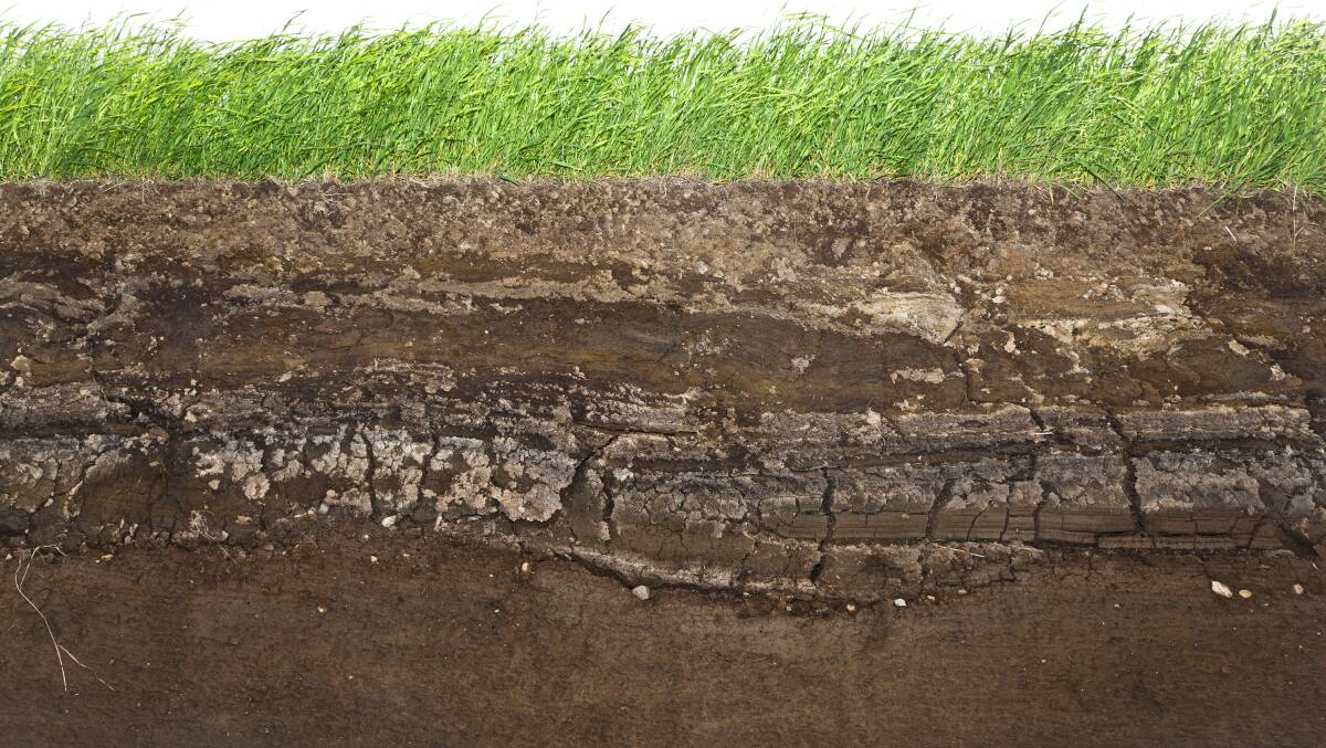 NOT A CROCK: TIA's Geoff Dean showed how subsoil manuring improved soil health at an Epping Forest trial site for the Tasmanian Soil Science in Action forum. Picture: Shutterstock/J Helgason 