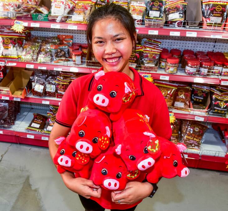 HAPPY NEW YEAR: Sarocha Jones holds lucky pigs at Tsing Wah Asian Grocers in York Street, Launceston. Picture: Neil Richardson