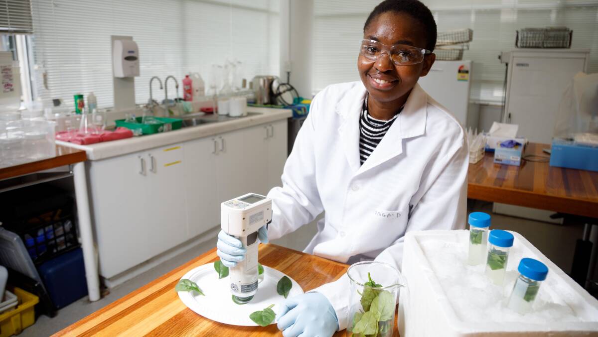 FRESH RESEARCH: Tasmanian Institute of Agriculture PhD candidate Vongai Dakwa. Picture: Supplied