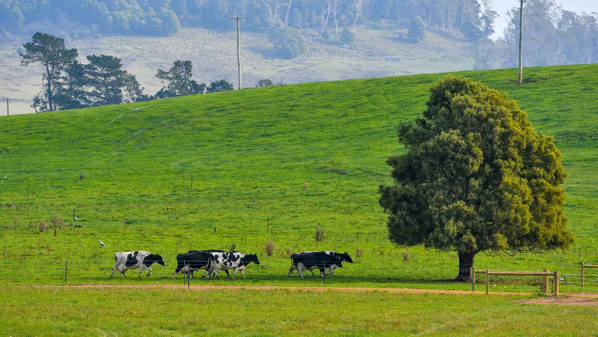 FERTILE REGION: Tasmania's North-West is attracting buyers from outside the state - even outside the country. Picture: Scott Gelston