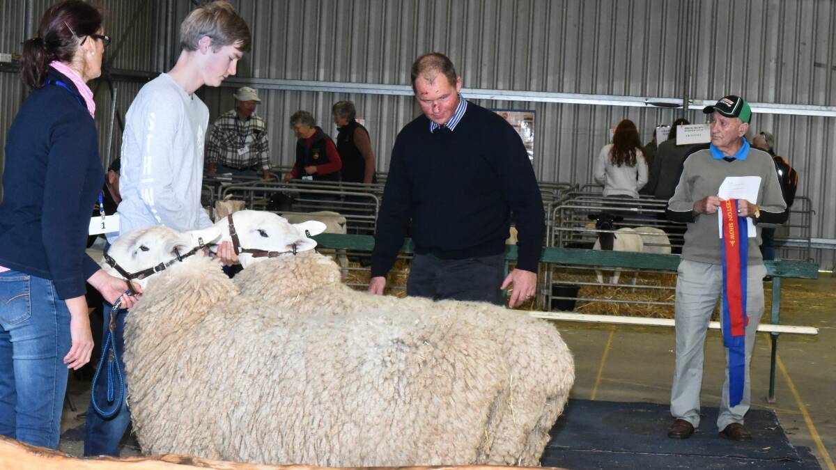 TOP SHOWING: Sharon and Jock Heazlewood display their Border Leicester sheep for judge Paul Routley. Picture: Neil Richardson