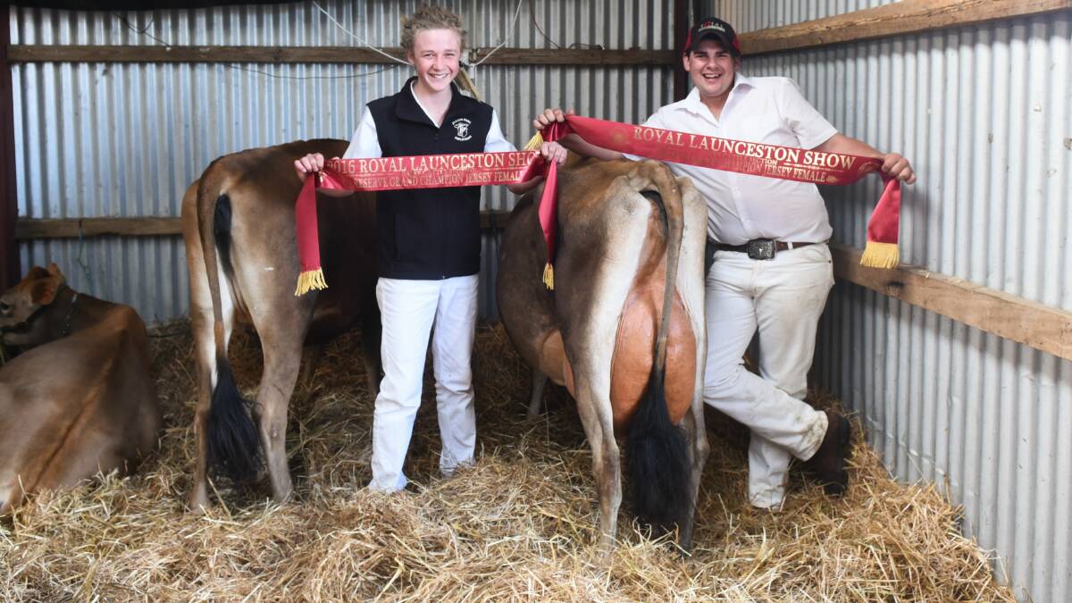 GRINNING WINNERS: Lachlan Gillam and Ryan Barker with champion Jersey cows. Picture: Neil Richardson