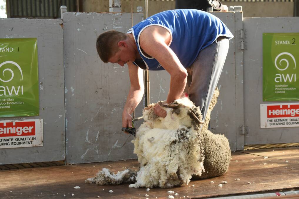 Wool handling competition at Campbell Town Show. Picture: Paul Scambler