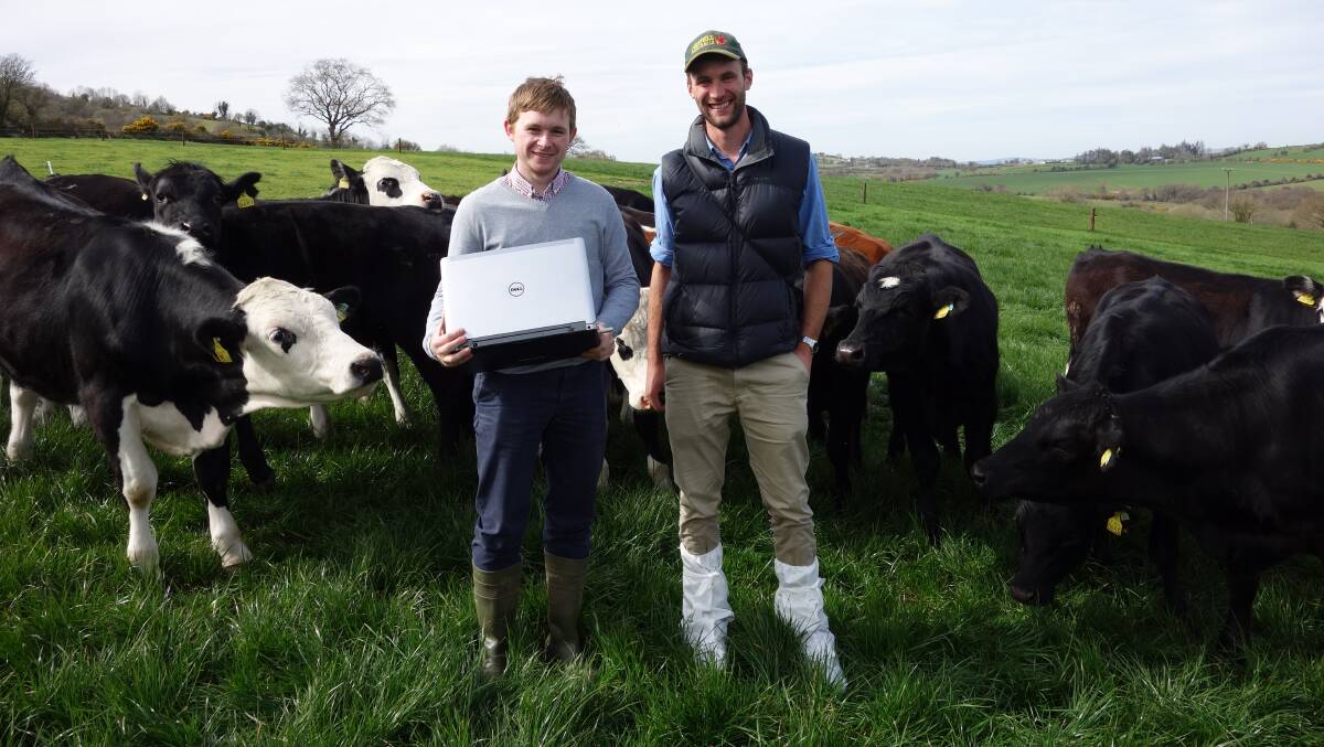 BETTER PRODUCTIVITY AND WELFARE: Stephen Connolly of Blade ABP Ireland and Thomas Snare with cattle of dairy origin. Picture: Supplied.