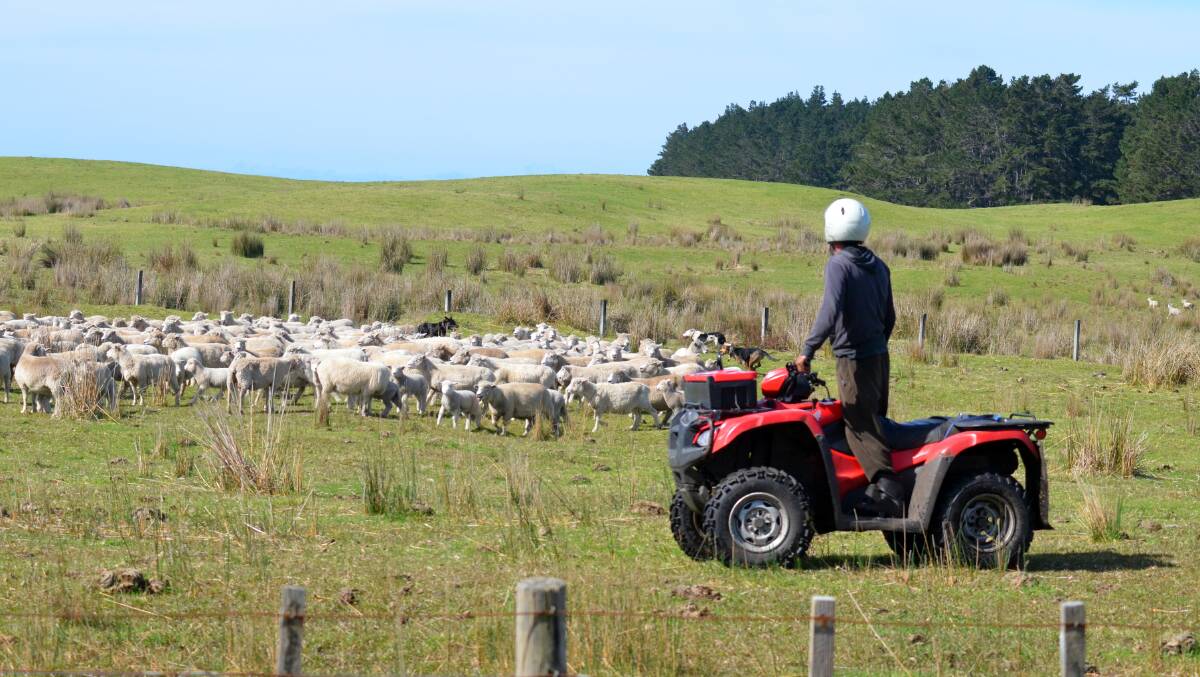 Focus on quad bike safety. Picture: Shutterstock