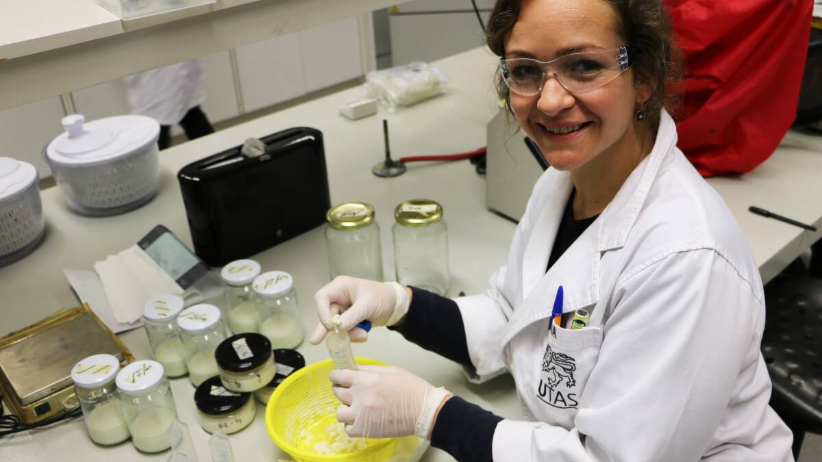 GETTING THE CULTURE RIGHT: TIA honours student Nina Rosenzweig is studying kefir production. Picture: Supplied